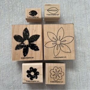 Stampin’ Up! Set of 6, Floral and Nature
